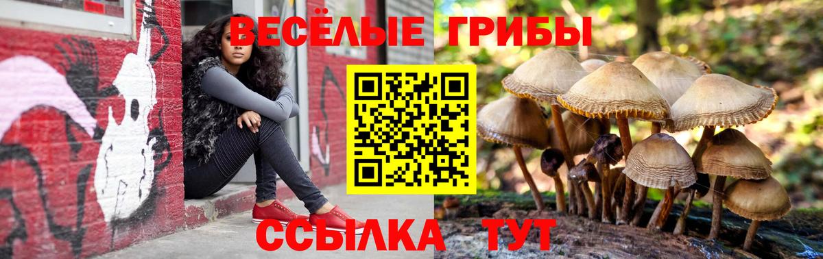 Псилоцибиновые грибы мицелий Урюпинск